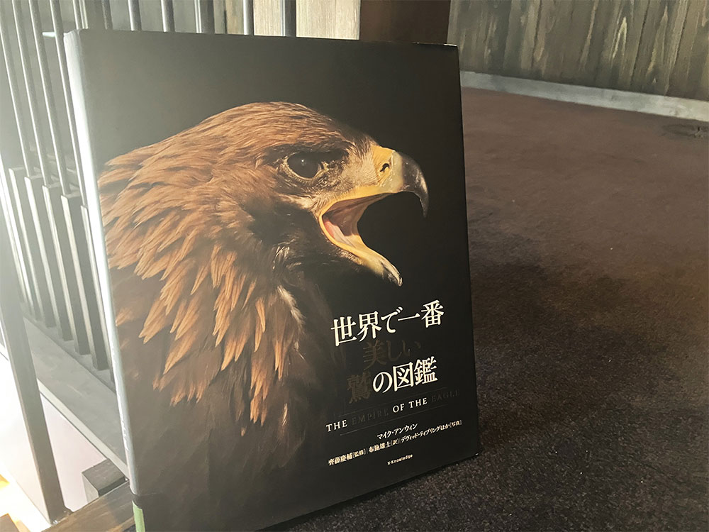 世界で一番美しい鷲の図鑑 | RECOMMEND | SHINDO YARDS 図書館 